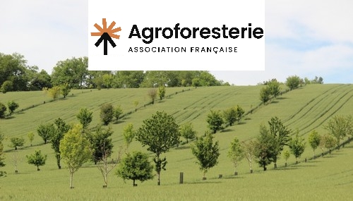 Association française d'agroforesterie